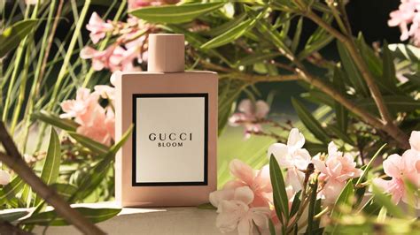 alberto morillas gucci bloom fragrantica|alberto morillas.